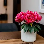 Harbour Deluxe شقة *
